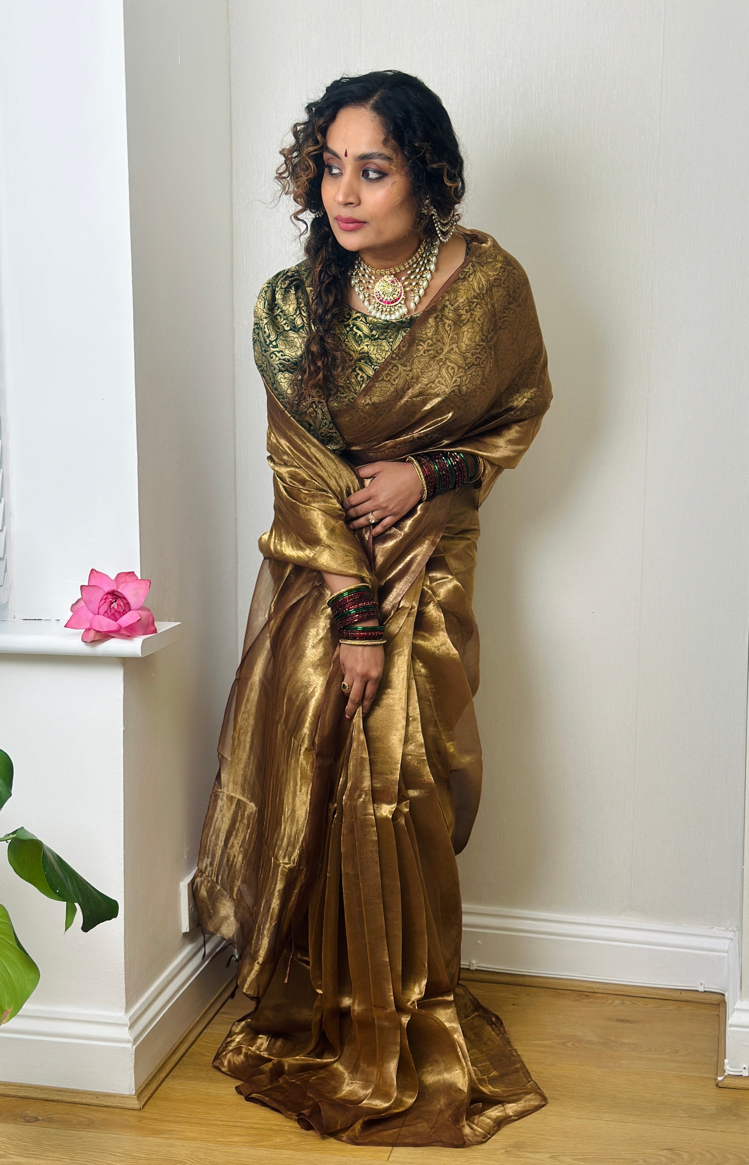 Tissue silk saree